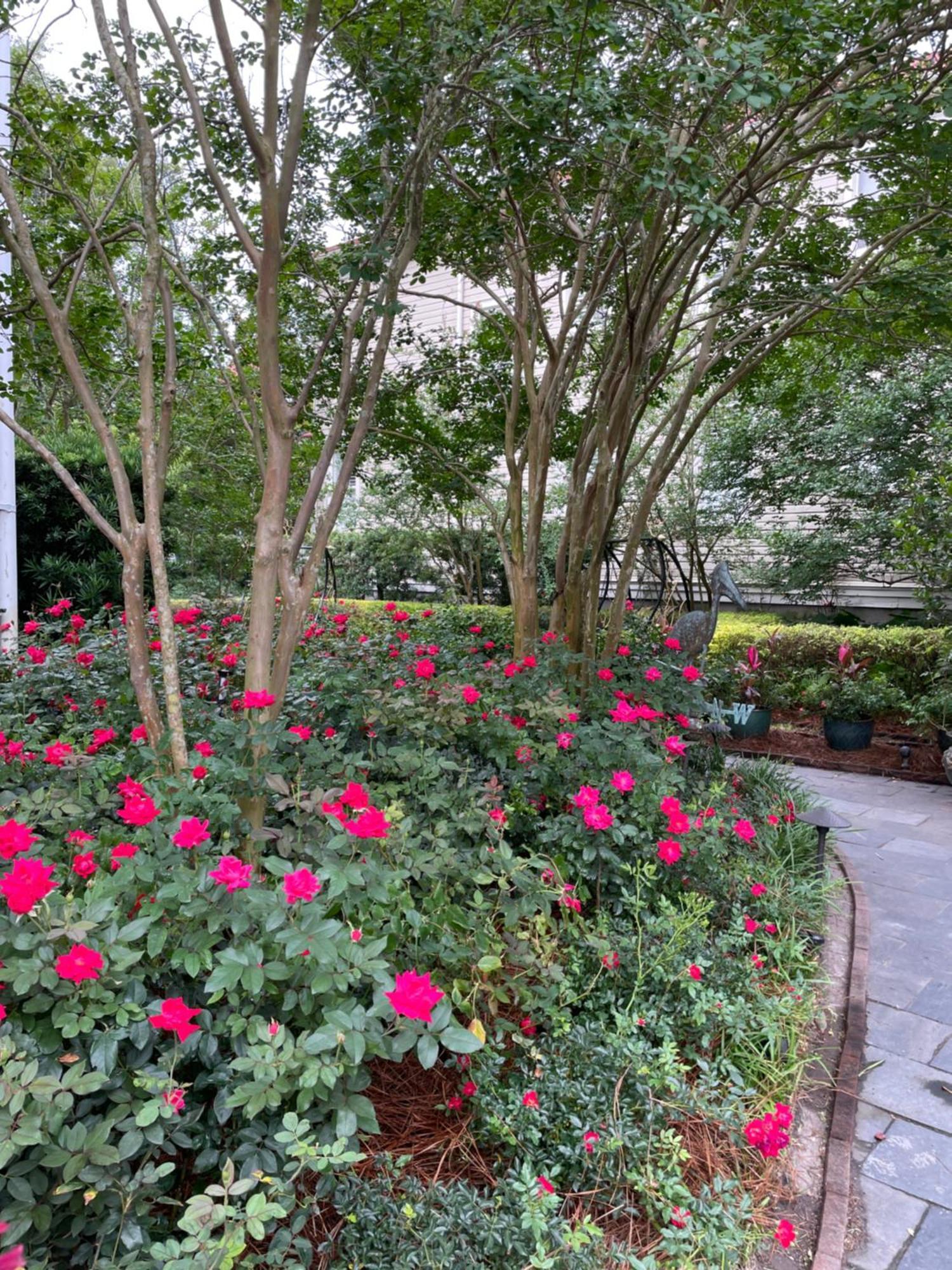 Bed and Breakfast 22 Charlotte Charleston Exterior foto