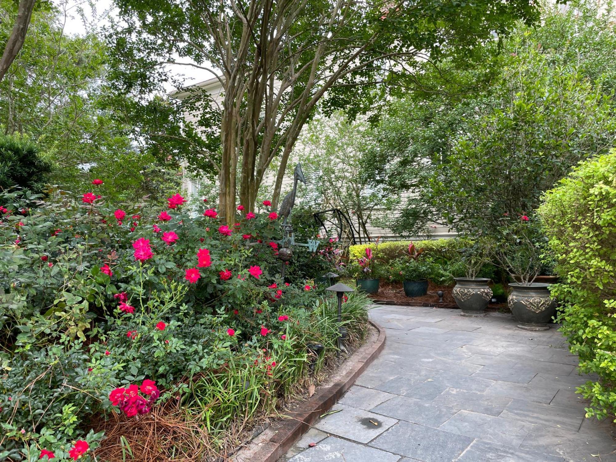 Bed and Breakfast 22 Charlotte Charleston Exterior foto